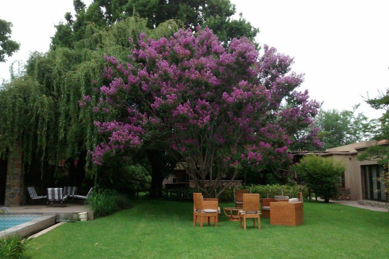 Casa La Galeana - Eco Boutique Hotel Chacras de Coria Bagian luar foto